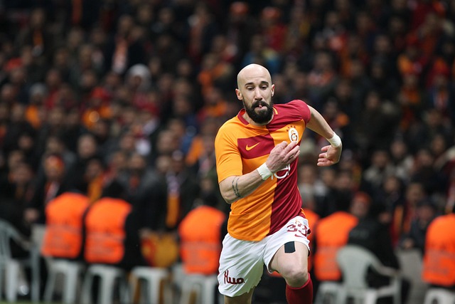 实的基础 实的基础